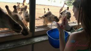 Jill meets a ton of wildlife.