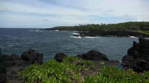 You head to the beach, and Lola can't stop getting off.