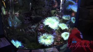 Summer Vixen Norcal Part 5